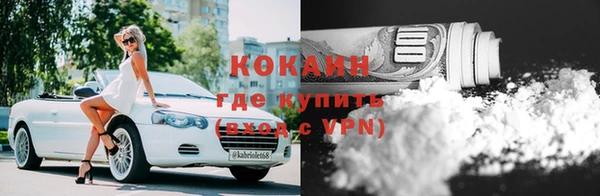 стафф Новокубанск