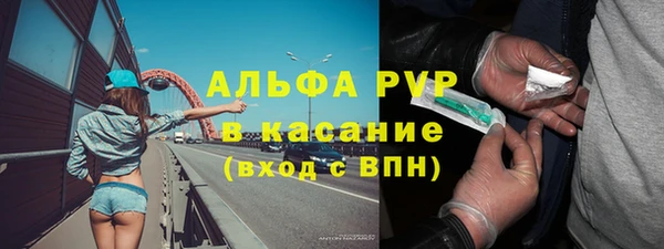 ECSTASY Новодвинск