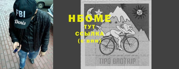 стафф Новокубанск