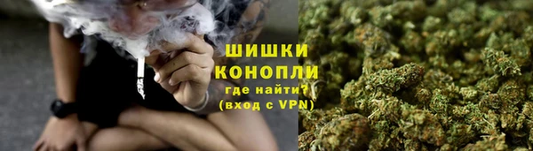 стафф Новокубанск
