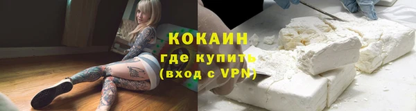 стафф Новокубанск