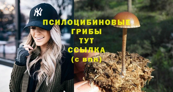 герыч Новозыбков