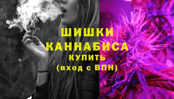 ECSTASY Новодвинск