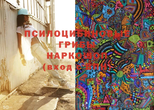 ECSTASY Новодвинск