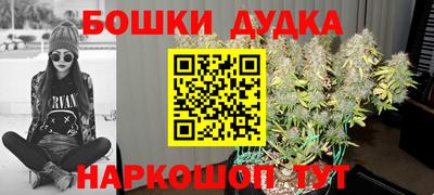 дживик Кимры