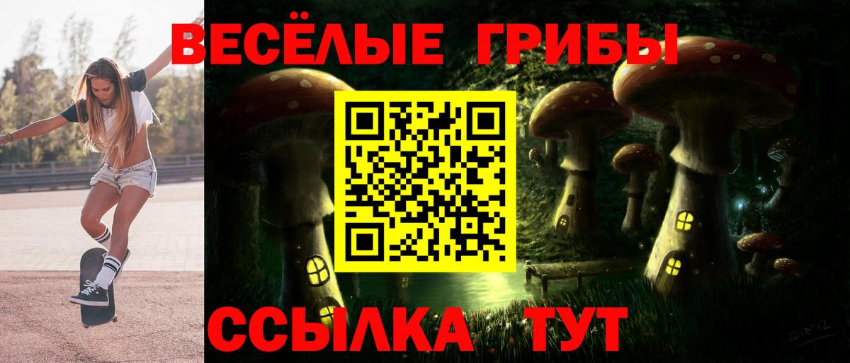 Псилоцибиновые грибы Cubensis  Вход с VPN  Приморско-Ахтарск 